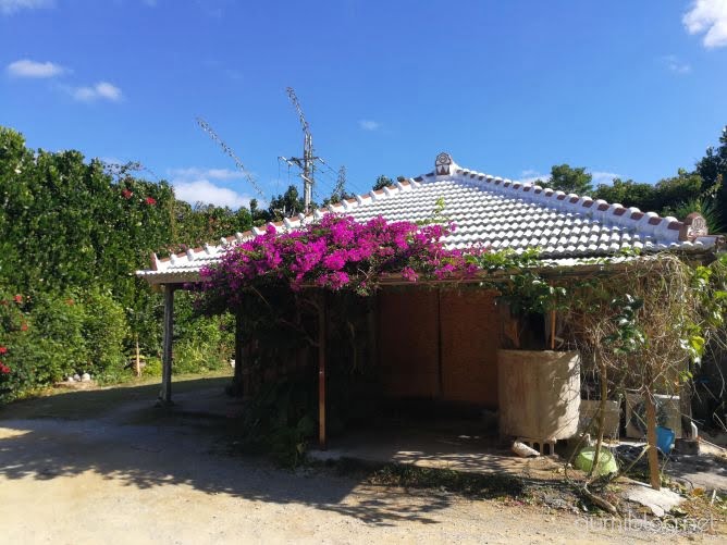 今帰仁そばは雰囲気は琉球古民家がステキ!フクギとお花に囲まれている