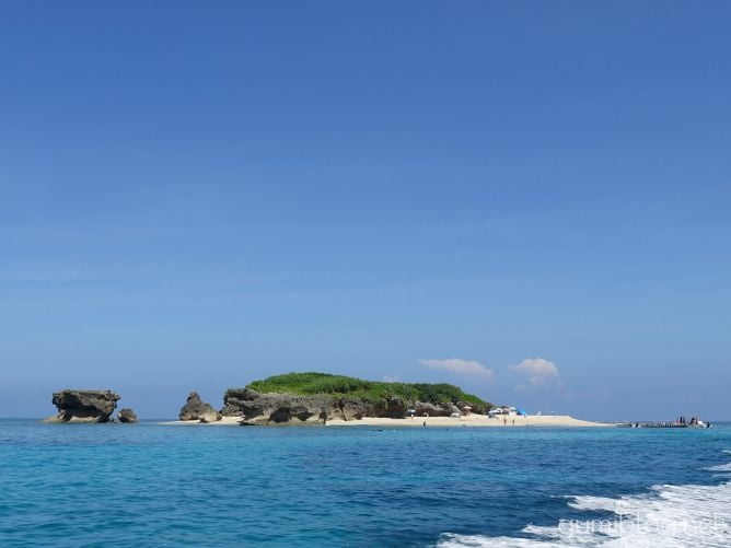 コマカ島のシュノーケルが人気の秘密を3つ公開！お魚情報つき@南城市