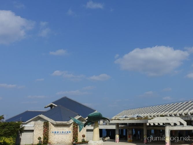 【沖縄6月の楽しみ方】おすすめ「観光地」3選!海・花スポットなど