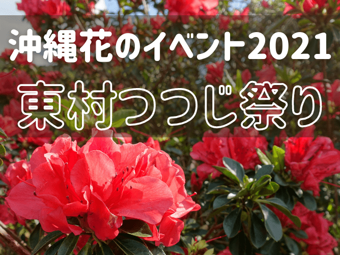 「東村つつじ祭り」沖縄2021年お花イベント＠東村つつじエコパーク隣