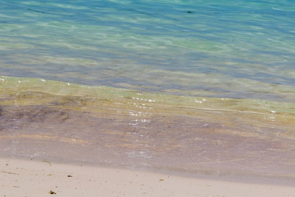 5月の沖縄は海で泳げる？海水浴やシュノーケリング・ダイビングについて
