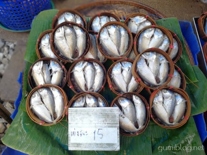 プラートゥー グルクマ はタイでよく食べる首折れ魚 食べ方や味など 沖縄のグミブログ