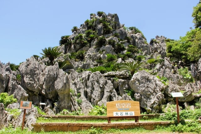 沖縄のパワースポット「大石林山」