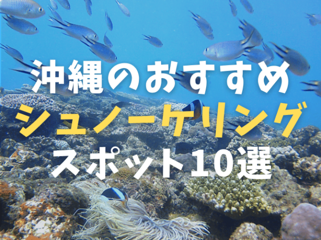 【初心者OK】沖縄本島のシュノーケリングスポットおすすめランキング