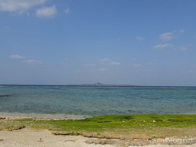 沖縄の2月は「海」で泳げる