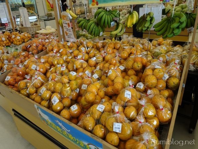 沖縄の1月の「旬の食べ物」果物など