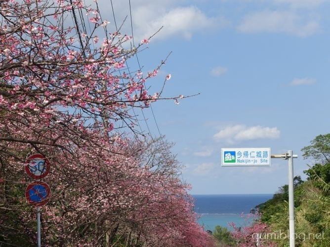 沖縄2月の楽しみ方